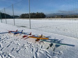 Winterfliegen